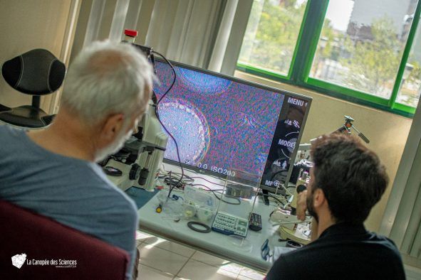 Deux hommes regardent un écran d'ordinateur avec un microscope.
