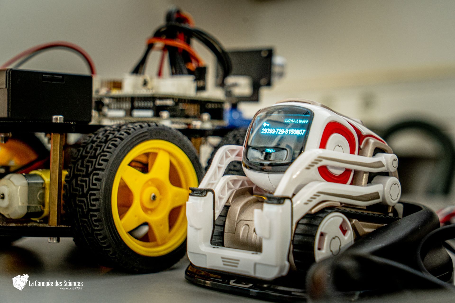 Un robot blanc avec une roue jaune est assis à côté d'un autre robot.