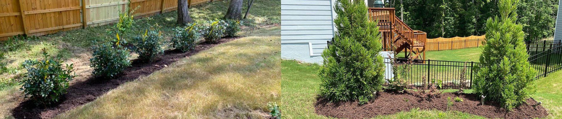 Two landscaping scenes. One with shrubs along fence, the other with two small trees, and a birdbath.