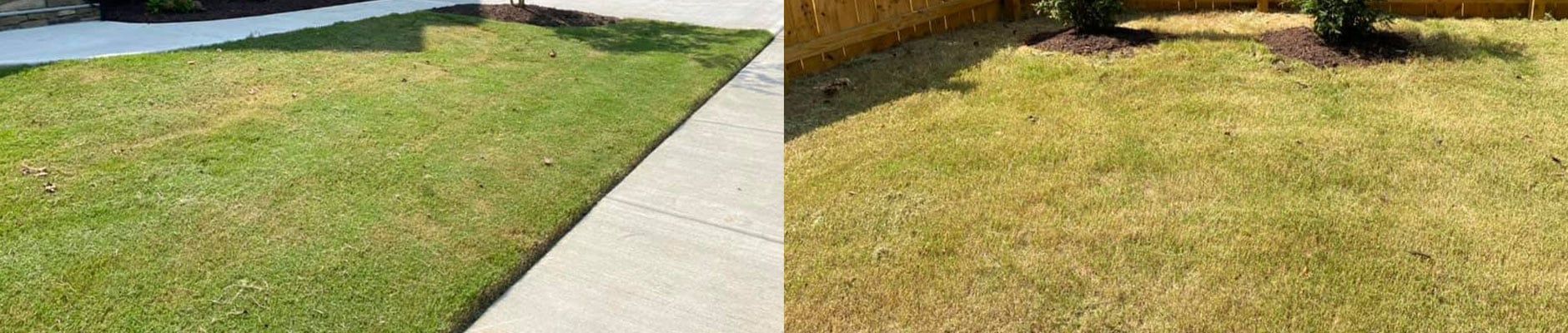 Two lawns side-by-side, one green and healthy, the other yellowed and stressed.