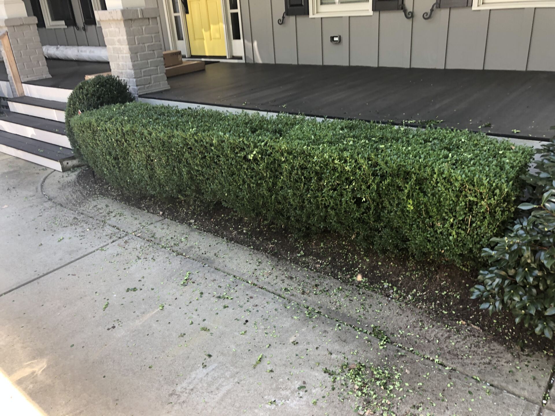 Green rectangular hedge beside a concrete sidewalk; front porch and steps in the background.