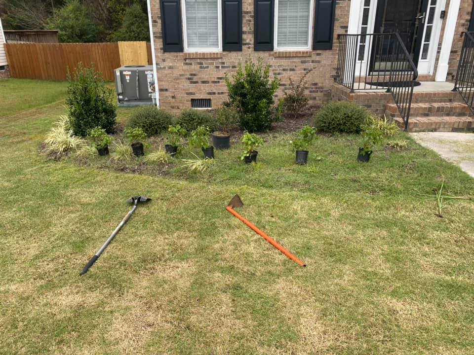 Garden bed with young plants, tools in the lawn. Brick house in background.