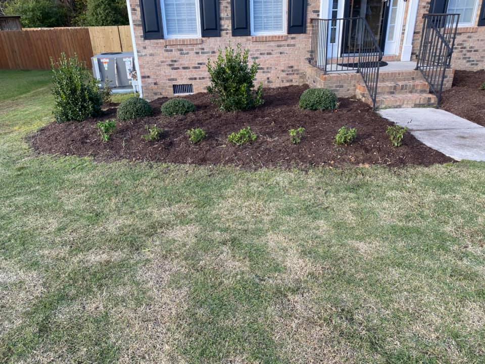Front yard landscaping with plants and mulch in front of a brick house.