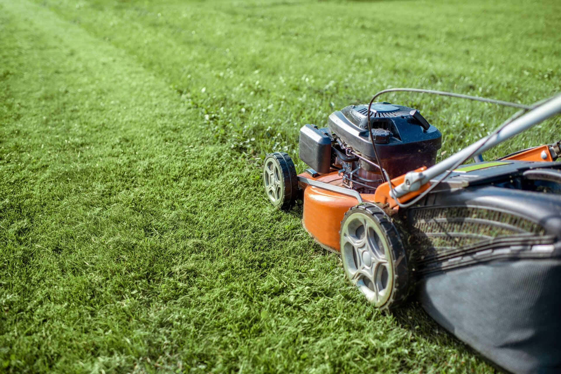 Orange lawnmower cutting grass in a green yard, leaving striped pattern.