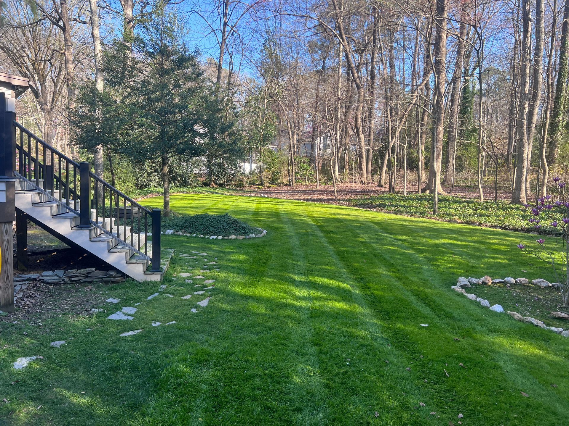 Green lawn with mowed stripes, stairs to a deck, trees in the background. Sunny day.