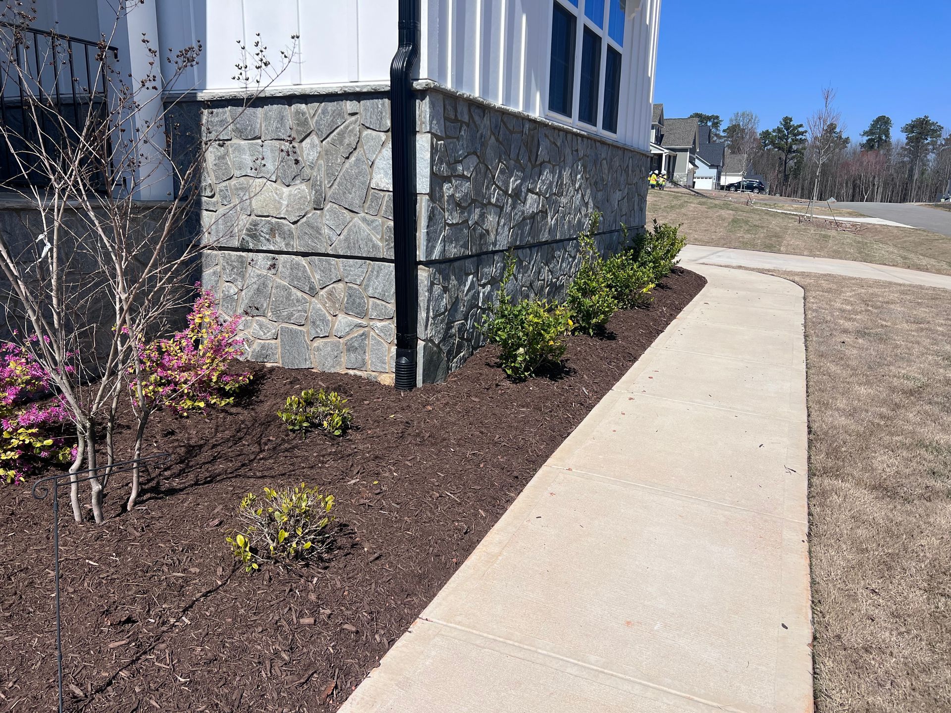 A house with stone foundation and walkway, small green shrubs and pink flowers in mulch.