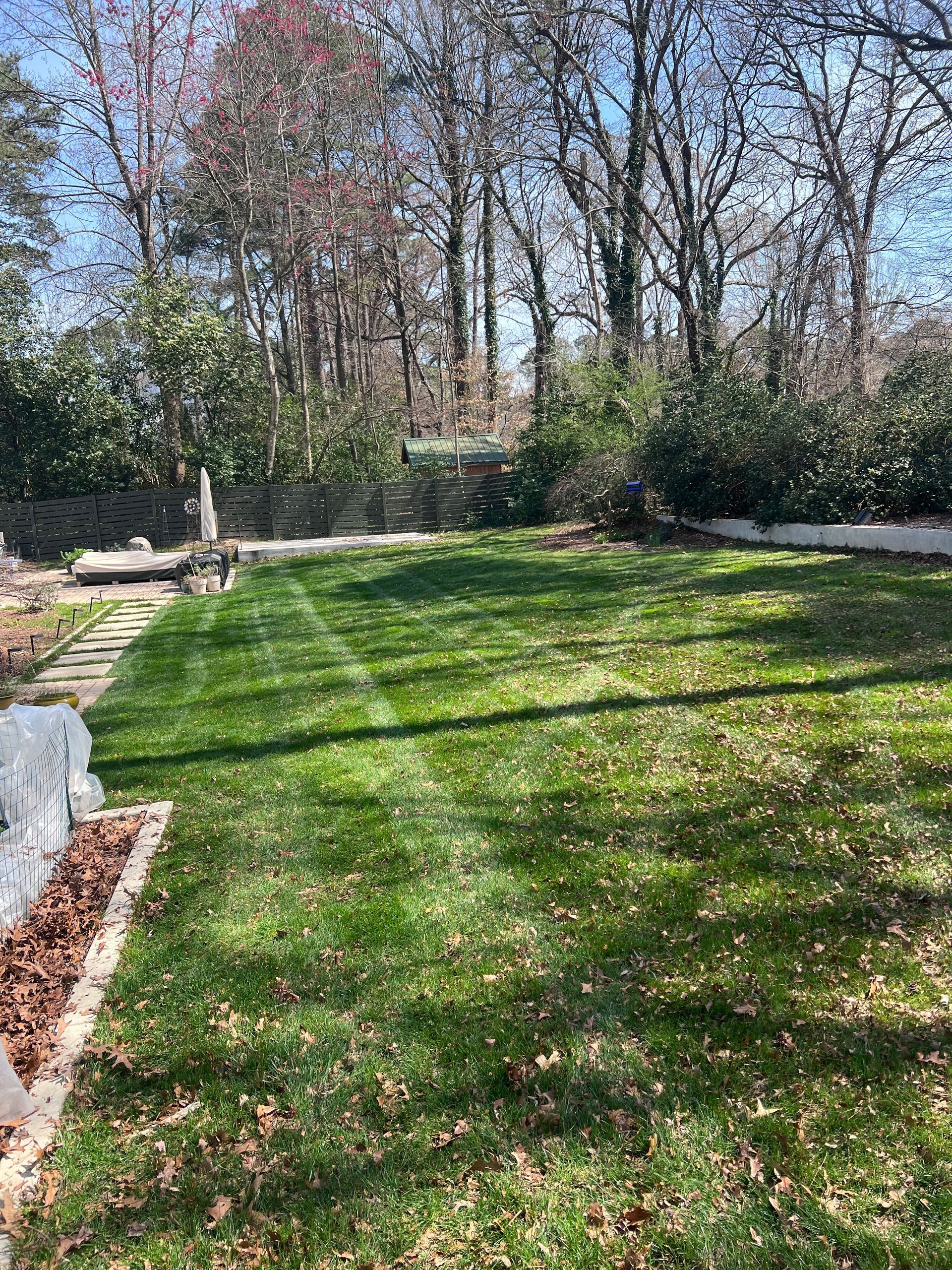 Lush green lawn in a backyard with stone borders, trees, and bright sunlight.
