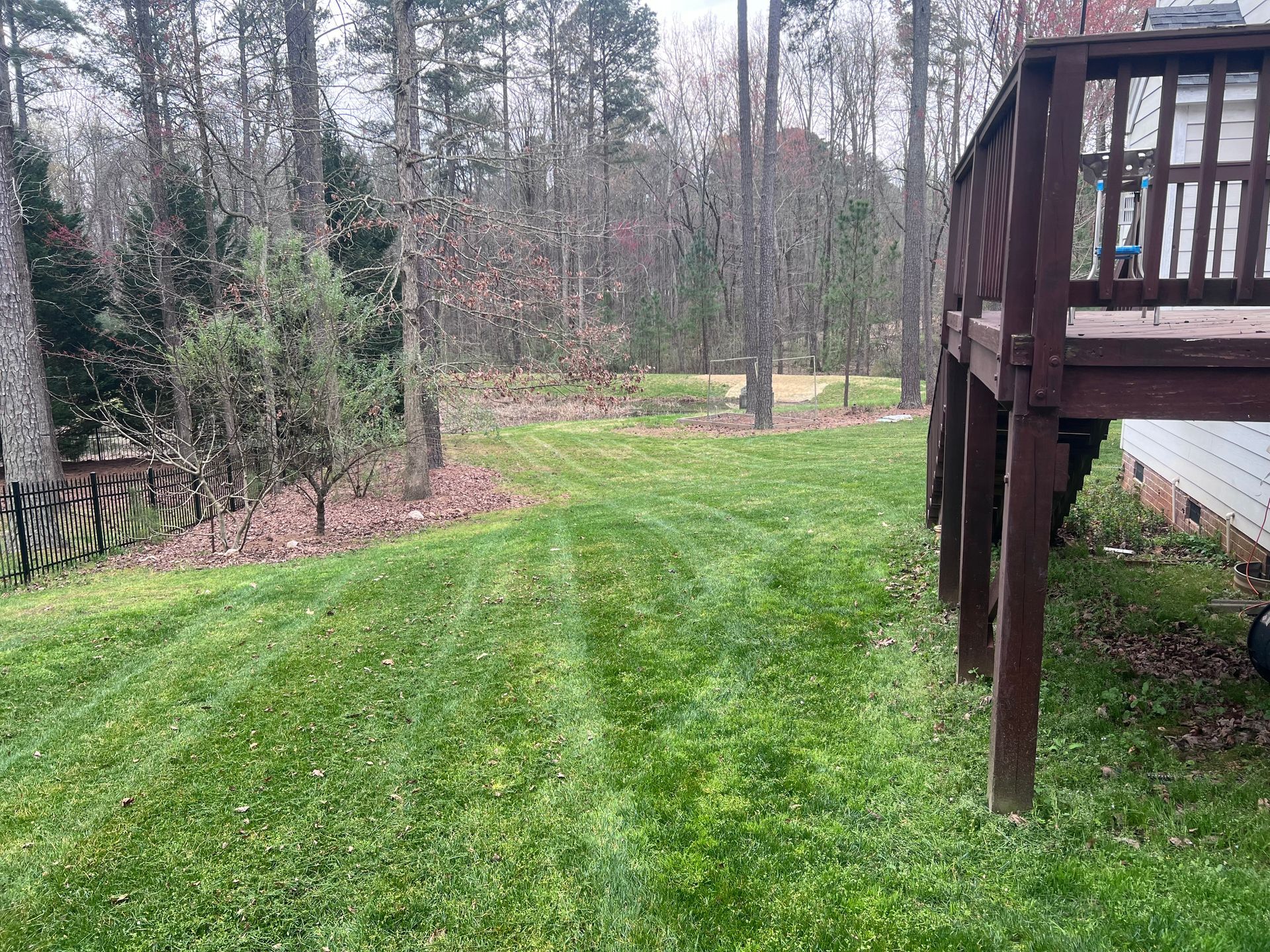 Lawn freshly mowed; a wooden deck on right side and trees in the background. Green grass and overcast sky.