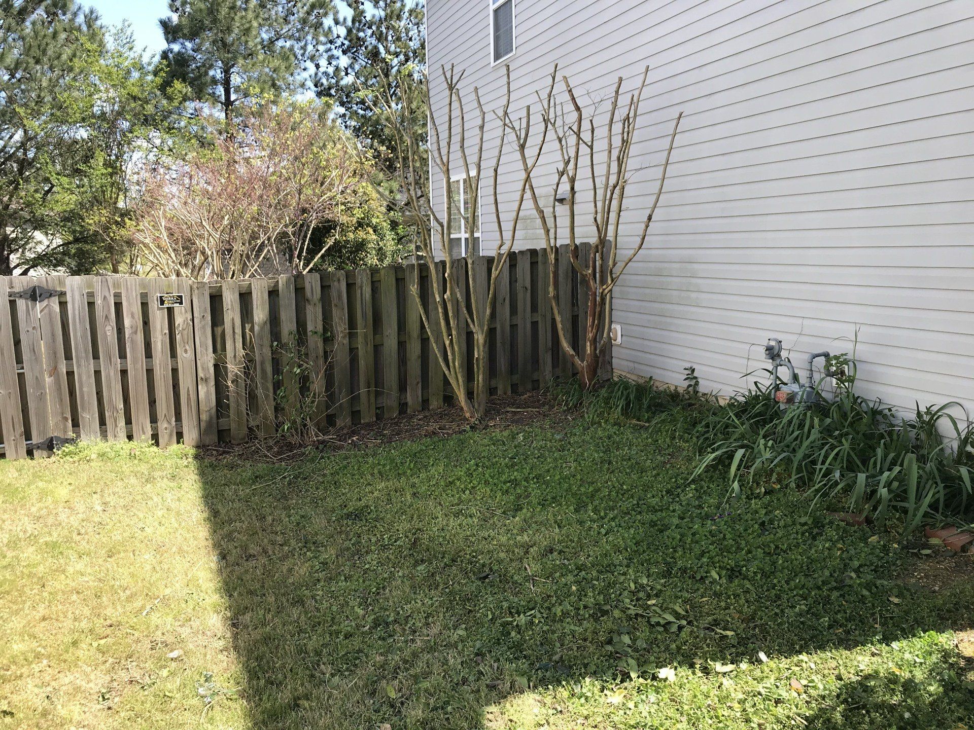 Lawn with a wooden fence, bare saplings, and a white house exterior.
