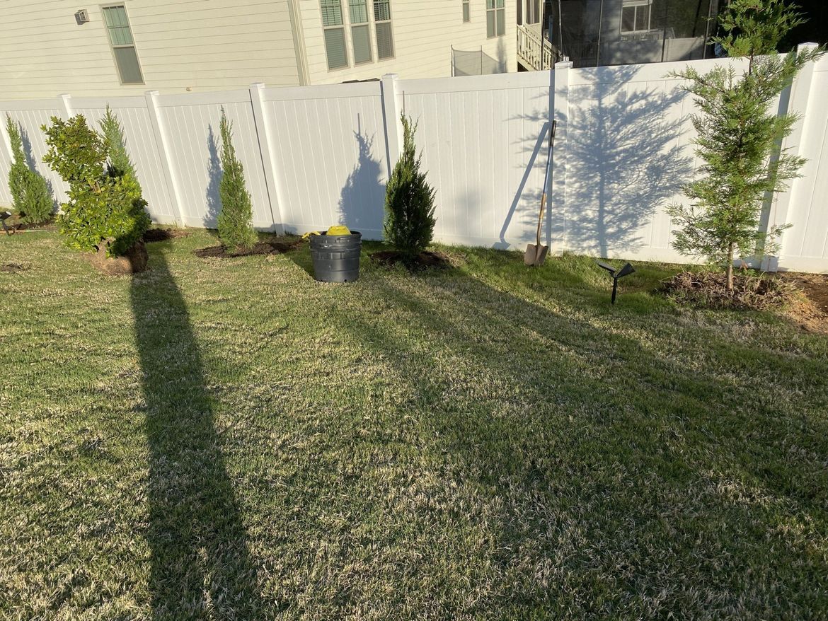 White fence with several young trees in a grassy yard. Sunlight casts long shadows.