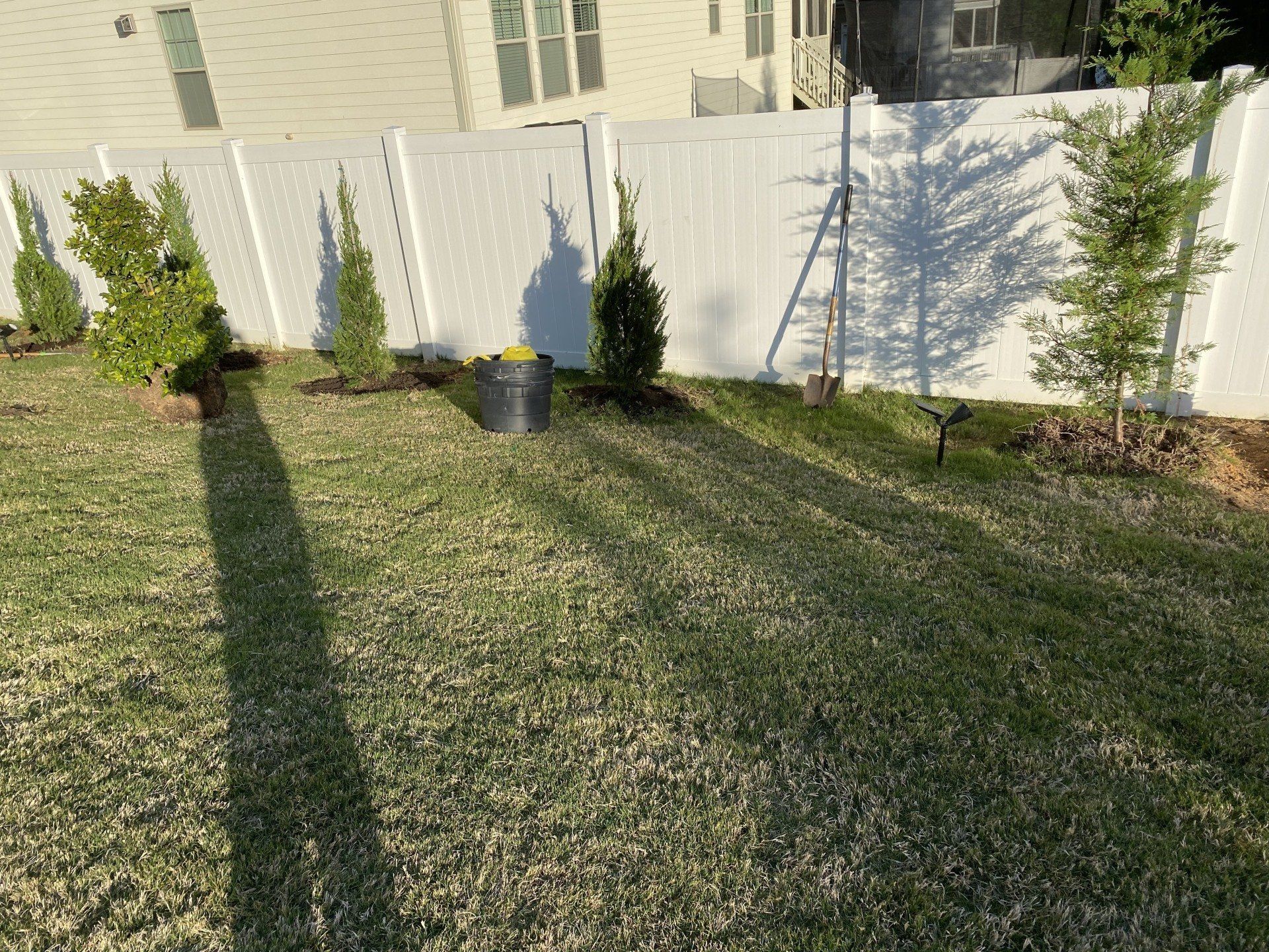 White fence with several young trees in a grassy yard. Sunlight casts long shadows.