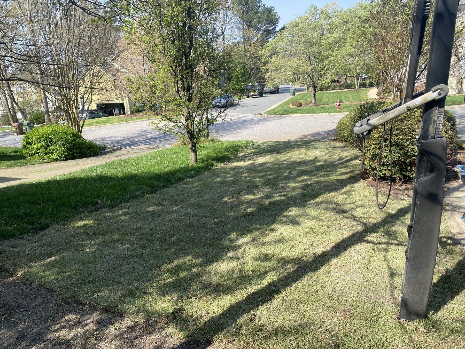 Lawn with sparse grass, a tree, and a street in the background. Shadows cast across the lawn on a sunny day.