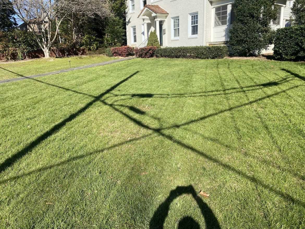 Lawn with shadows of utility poles and wires in front of a white house.