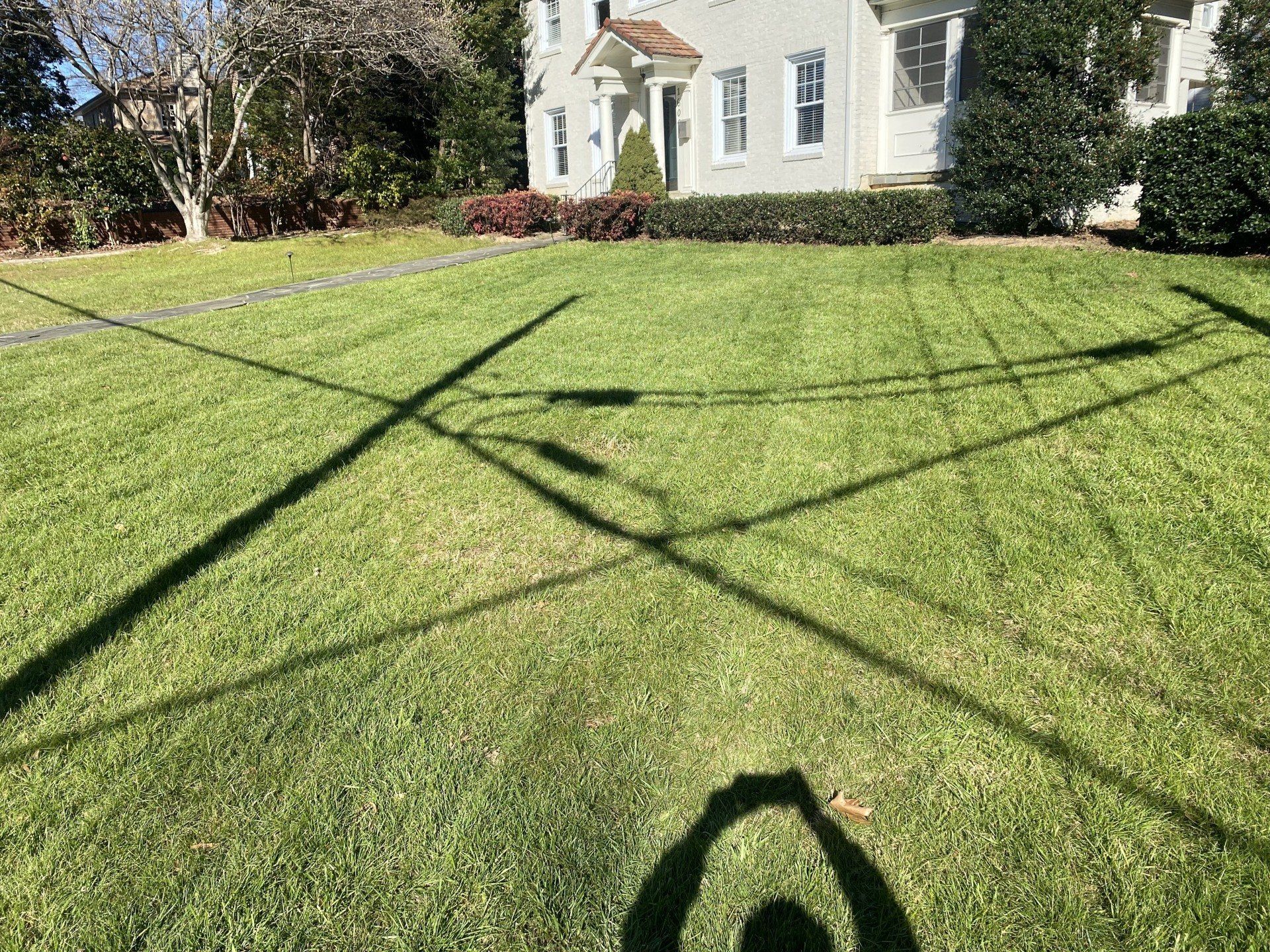 Lawn with shadows of utility poles and wires in front of a white house.