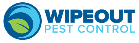 Wipeout Pest Control Wipeout Pest Control