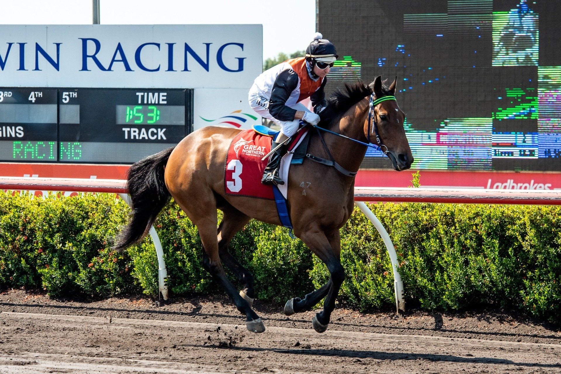 Darwin Cup Carnival