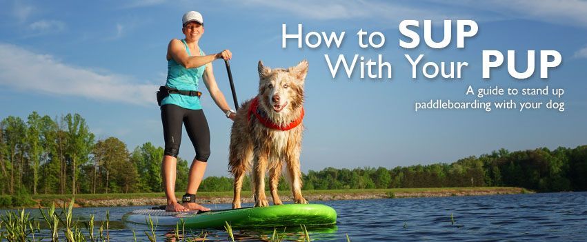 Woman and dog standing on a paddleboard on a lake, with text “How to SUP With Your PUP”