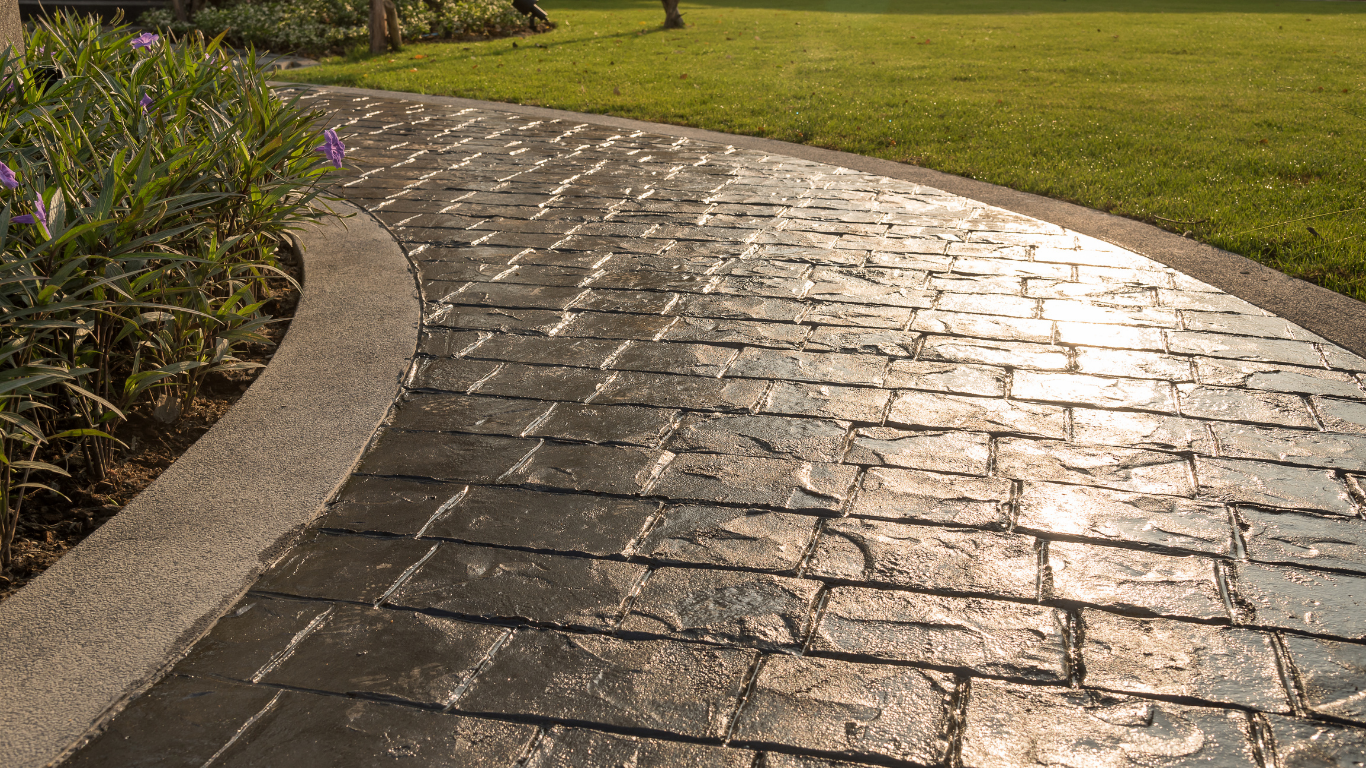 Curved wet stone walkway beside green grass and plants in sunlight