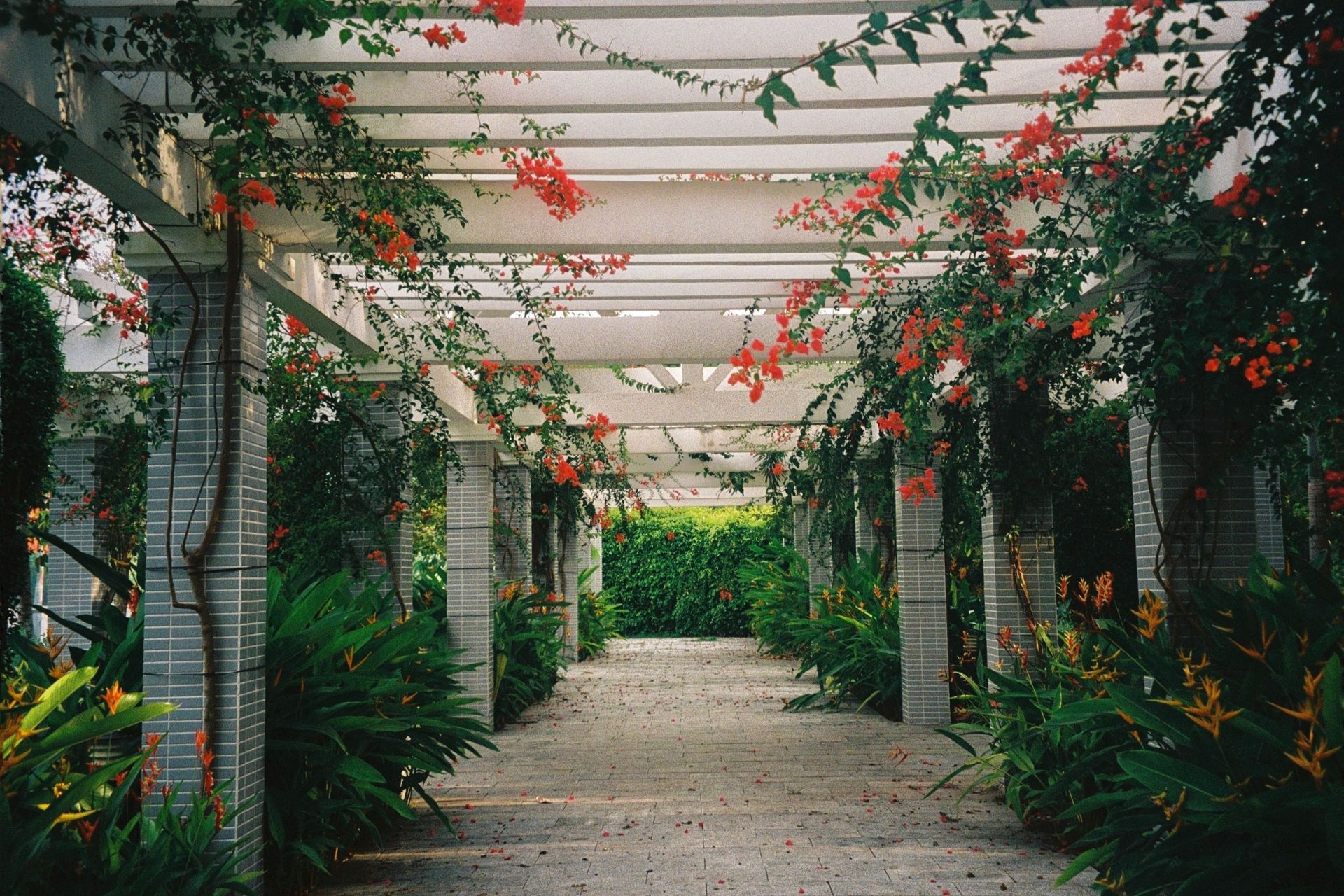 Decorative concrete walkway connecting outdoor spaces