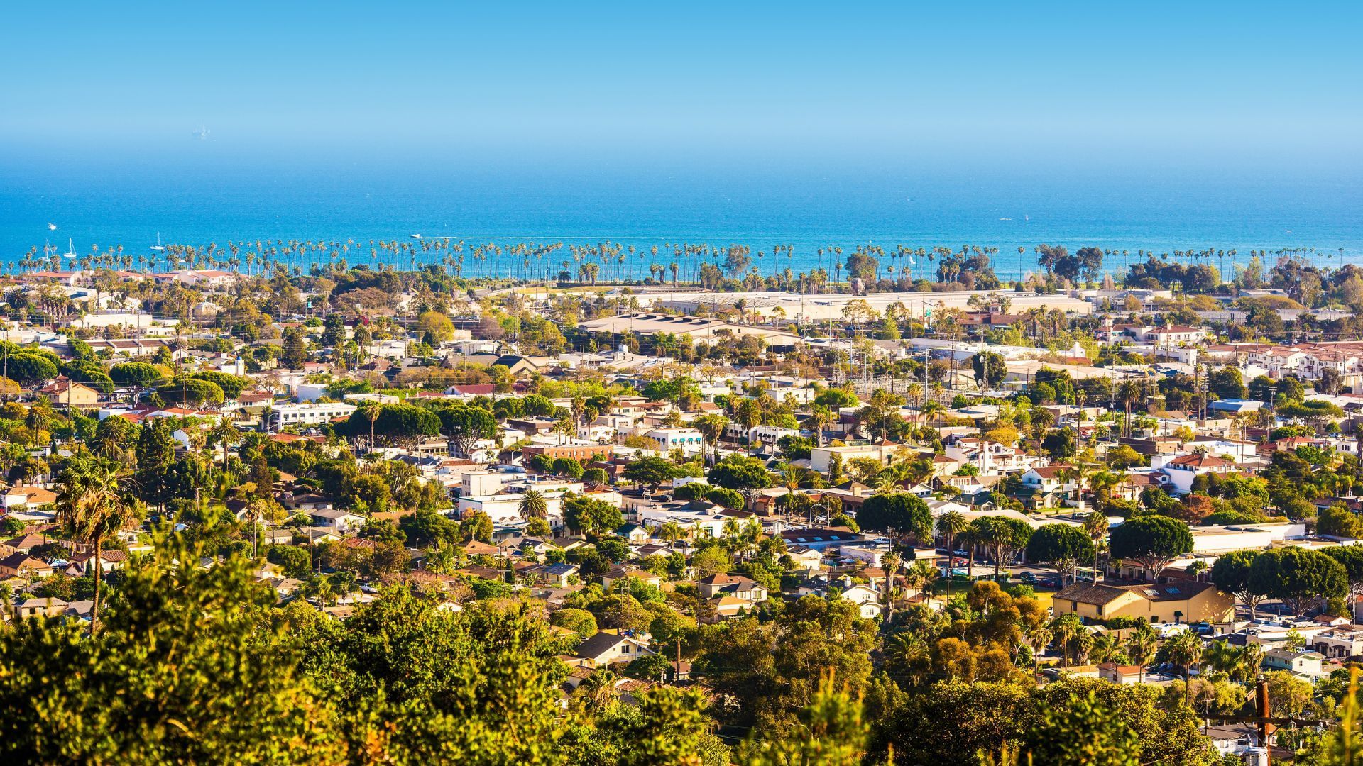 Panoramic coastal city view with dense greenery and houses beneath a bright blue sky and ocean horizon