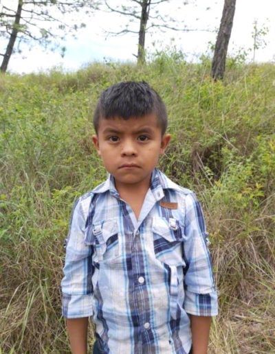 Young child in a blue plaid shirt standing outdoors in a grassy area, looking at the camera.