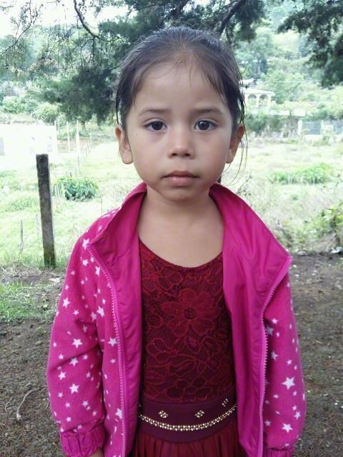 Young child in a pink jacket and maroon dress standing outdoors in a grassy area.