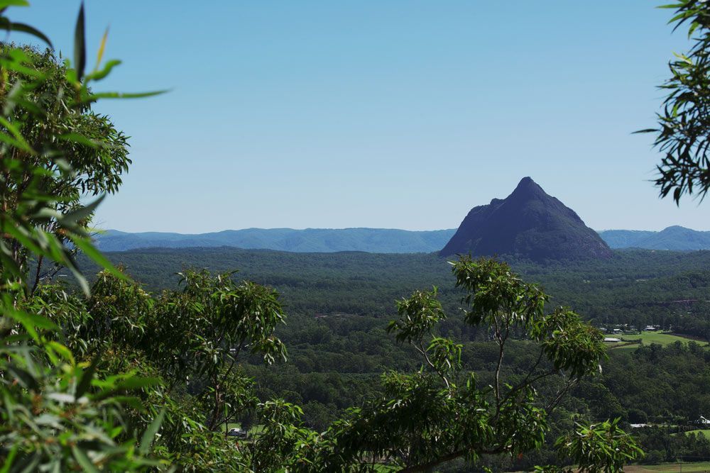 A Mountain Is Visible Through The Trees In The Distance — NFL Electrical In Glasshouse Mountains, QLD