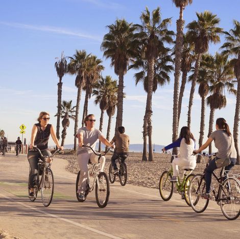 A group of people are riding bicycles down a street with palm trees in the background