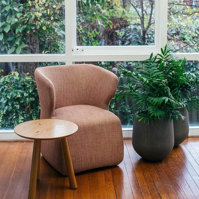 two potted plants sit next to a chair in front of a window