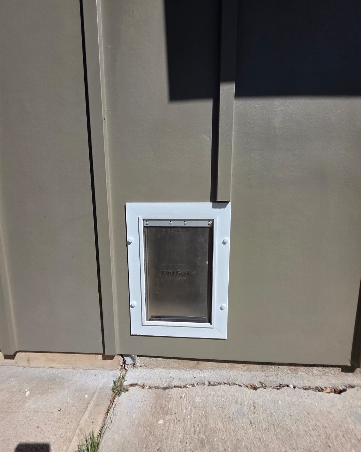 Small white pet door installed in a gray exterior door panel.
