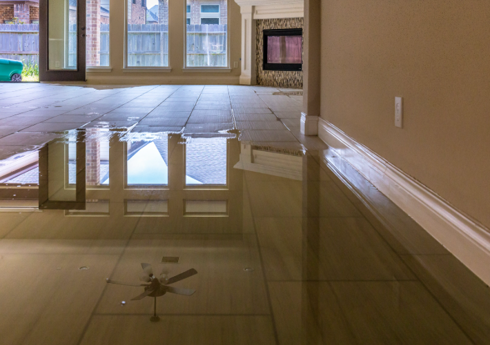 water damage remediation