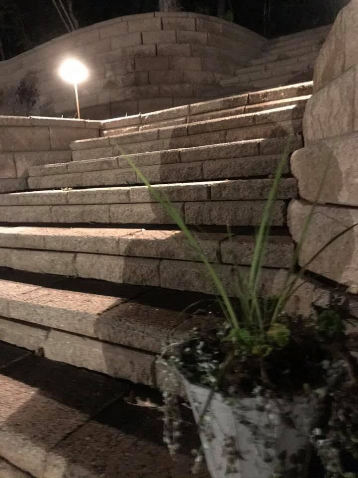 Stone steps at night with a small lit lamp and a potted plant in the foreground