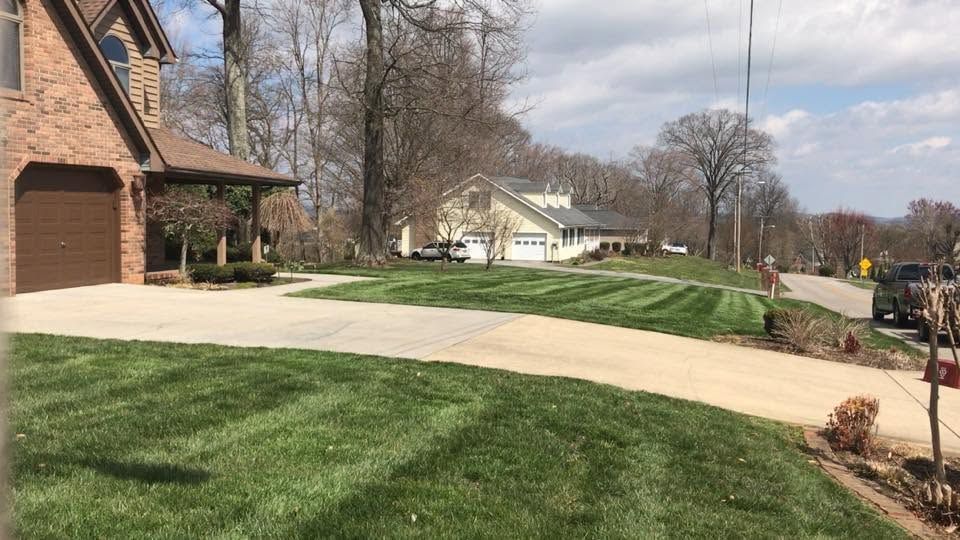 Suburban street with brick house, curved driveway, green lawn, and trees on a sunny day