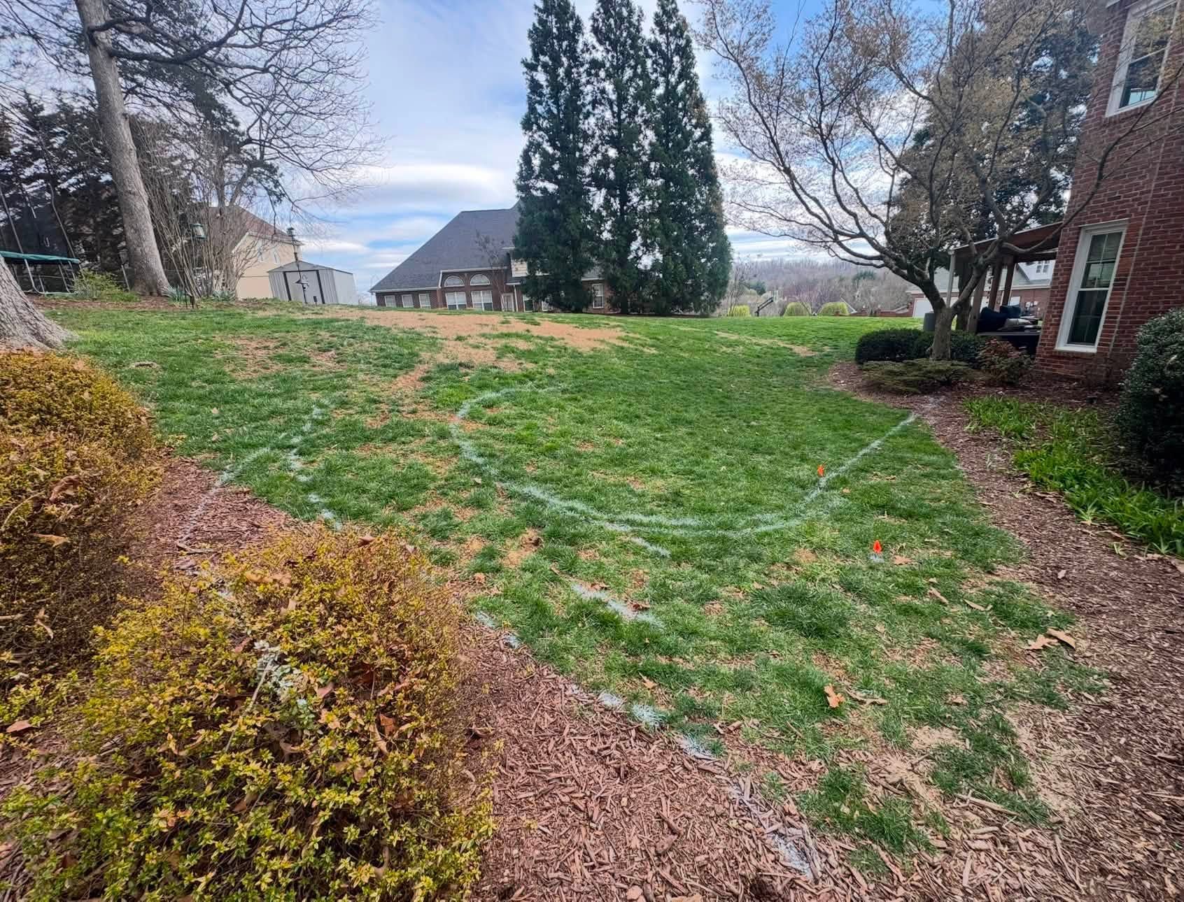 Landscaped backyard with green lawn, shrubs, tall evergreens, and a brick house on the right.