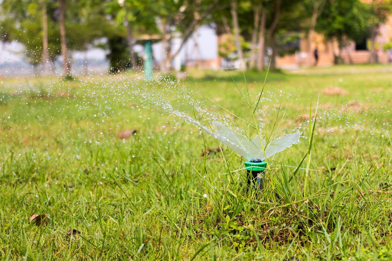 Sprinkler watering a green lawn in a park