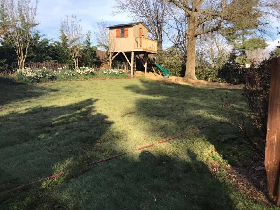 Backyard with a raised wooden treehouse and grassy lawn in sunlight