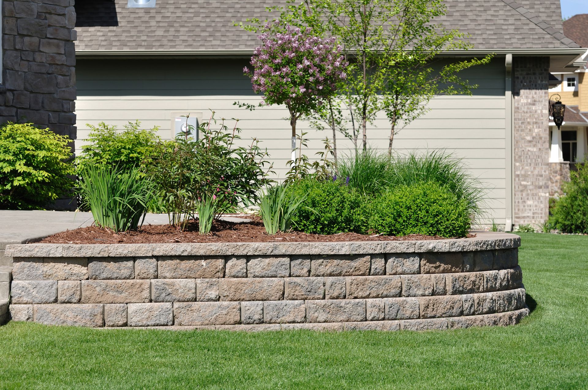 Raised stone garden bed with shrubs and a small tree in front of a house lawn