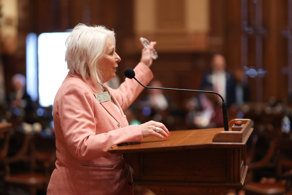 Karen Mathiak, House District 82