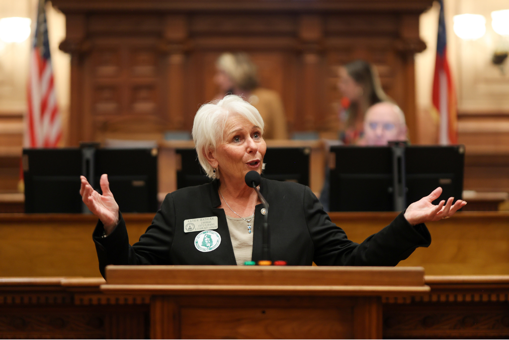 Karen Mathiak Georgia House 82 Speaking