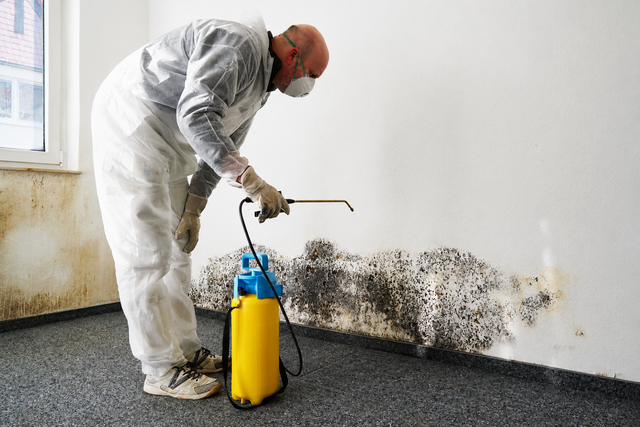 Worker in white protective suit spraying pesticide along a moldy indoor wall