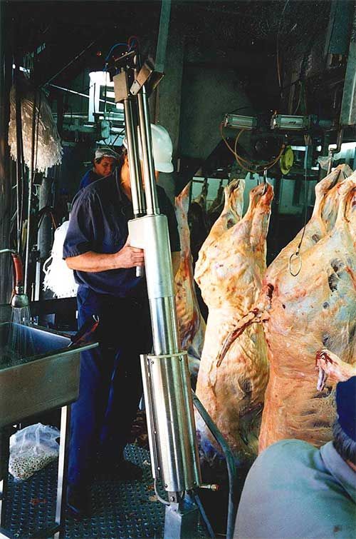 beef bunging machine step by step pictures