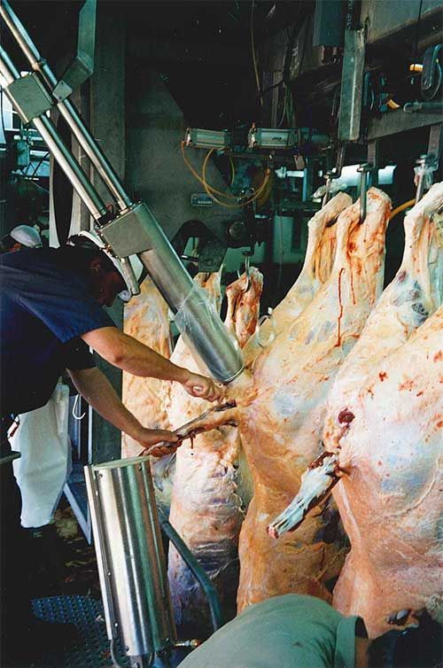 Beef Bung Bagging Machine