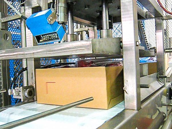 Box Compactor Meat Processing