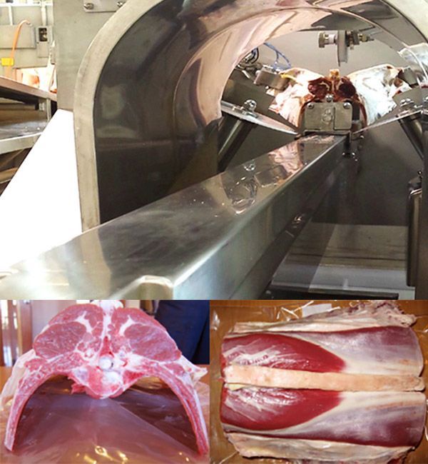 Fat Cap Removal Machine