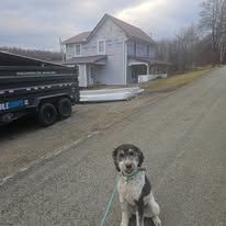 Dog on a leash poses on a road. Behind is a house, trailer, and supplies. Overcast day.