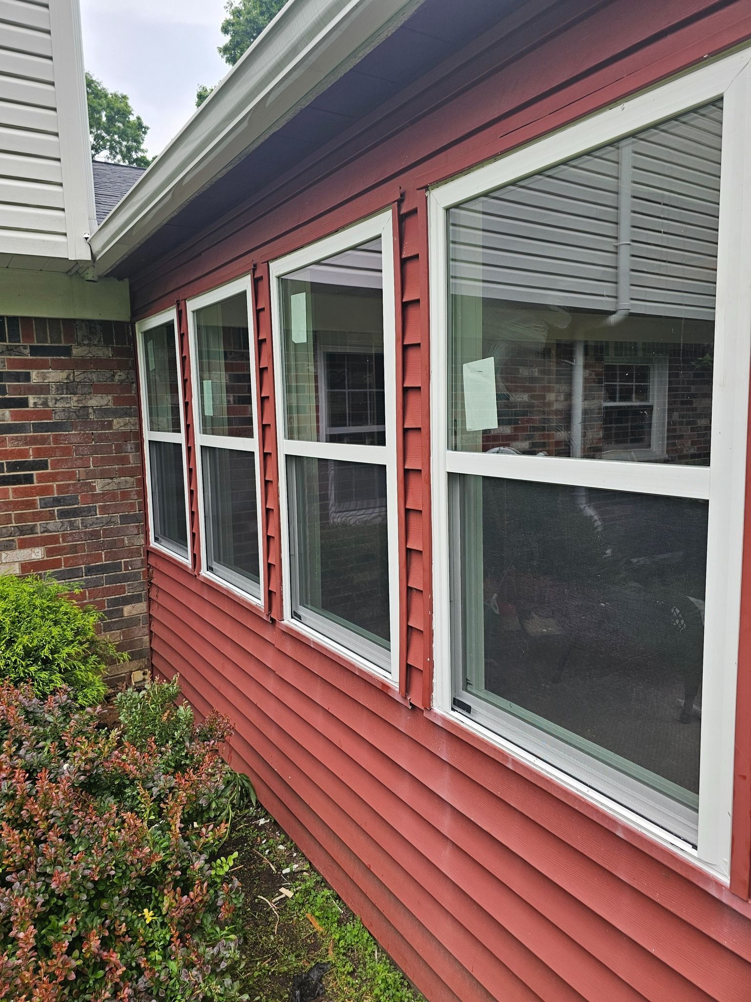 Red siding and white-framed windows on a building exterior, with greenery in the foreground and a cloudy sky.