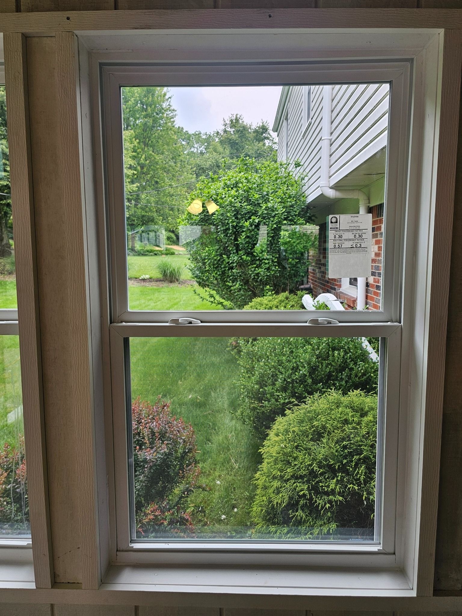 White-framed window looking onto a green yard with bushes, trees, and part of a white house.