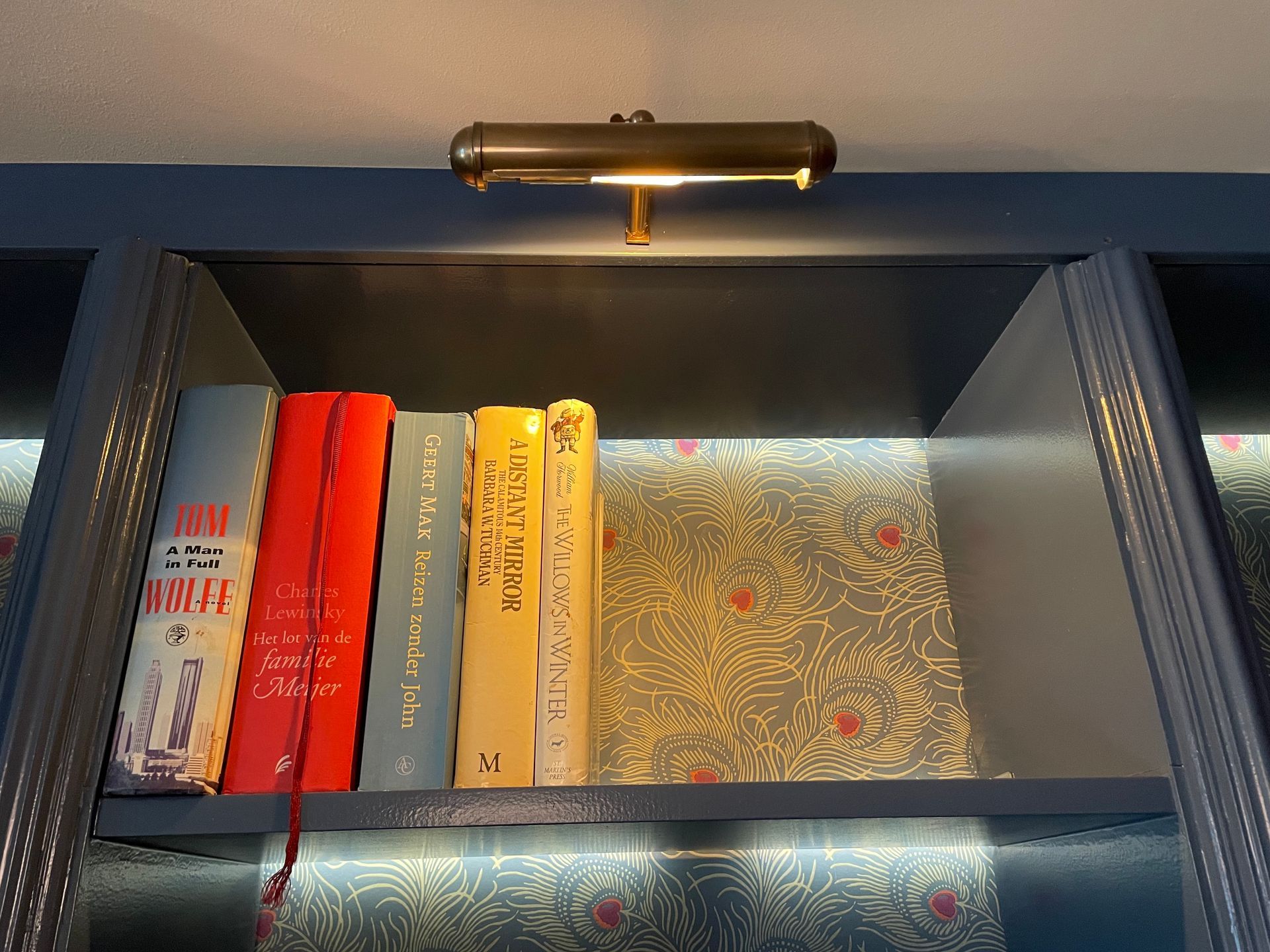 Boekenkast verlicht door een plafondlamp, met een behang met patroon als achterwand en verlichting onder de planken.