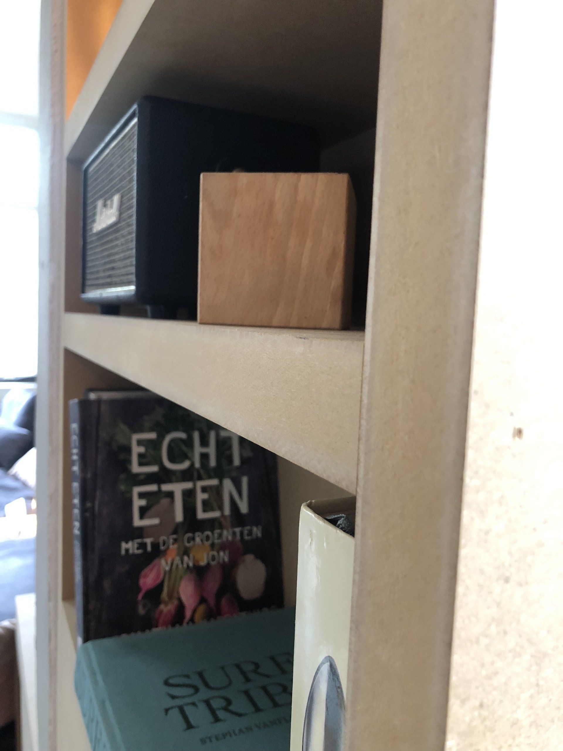 Boekenkasten met boeken en een Marshall-luidspreker. Op de plank staat een houten kubus.