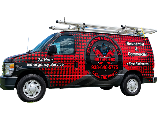 Black emergency service van with red graphics and ladder on top, side view on white background